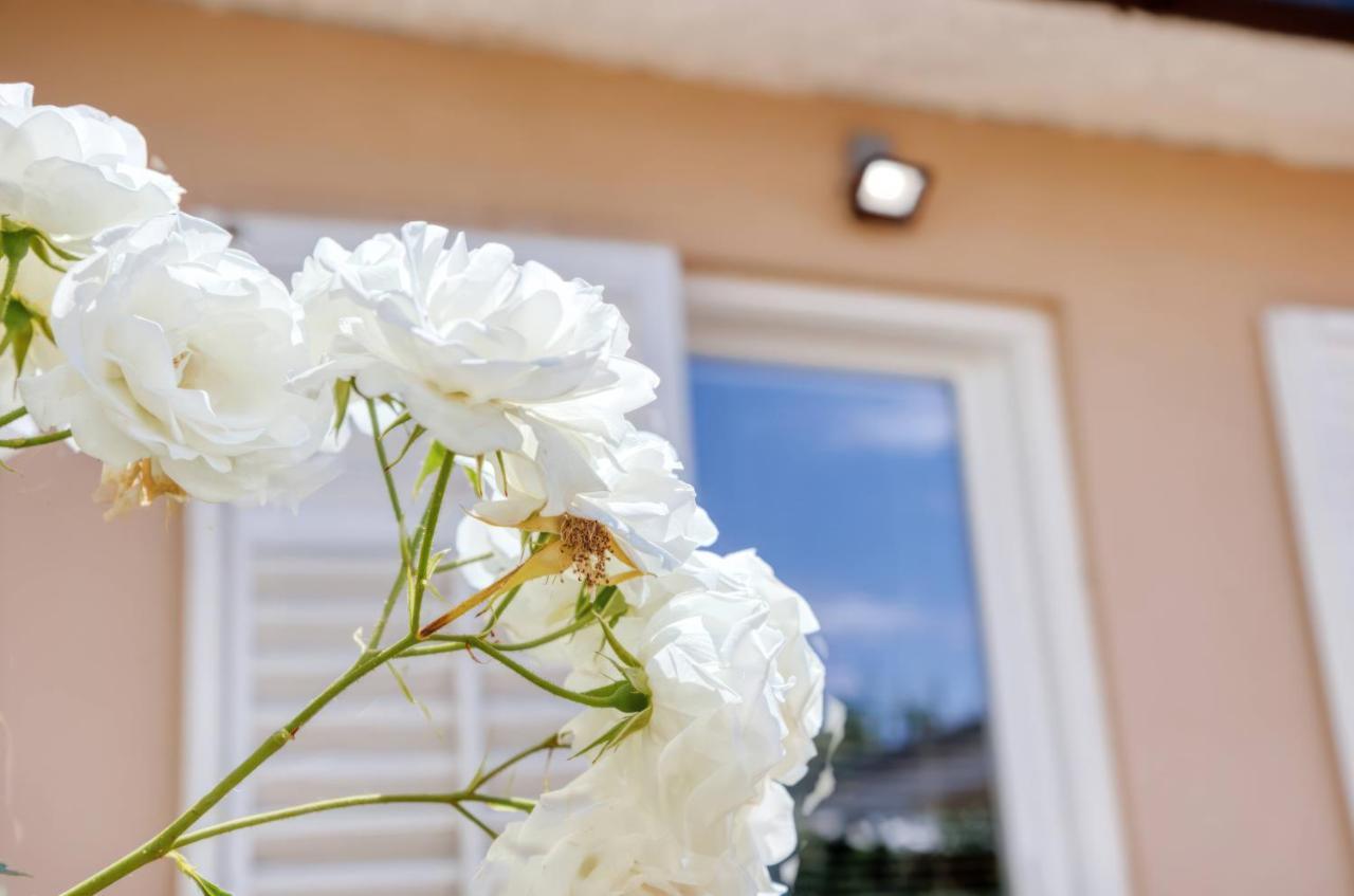 Holiday House "Laurus Garden" With Private Parking Medulin Dış mekan fotoğraf